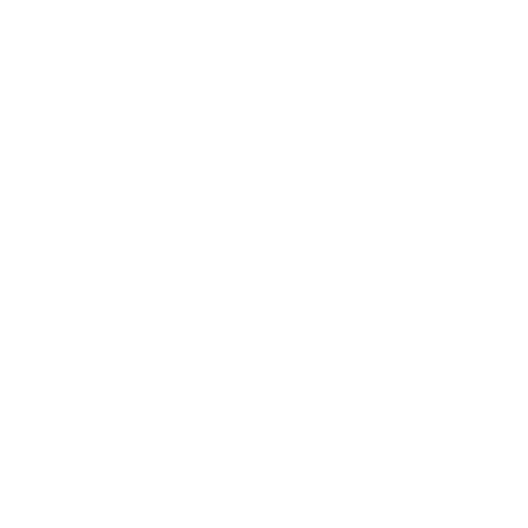 Umbraco Platinum Partner Logo