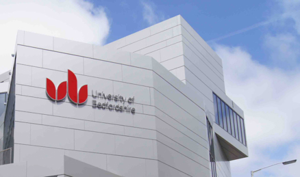 We’re Not Just a Vendor. We’re Part of Your Team.